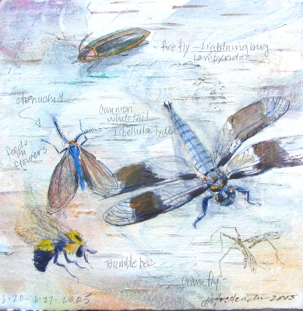 Janet Fredericks Studio - Anthills & Insects - img-671-orig